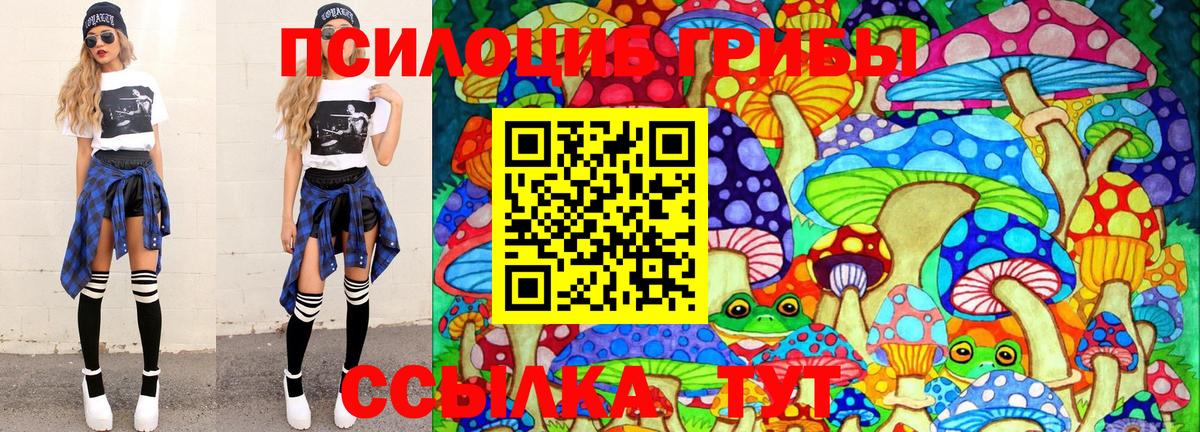 Сальск  Галлюциногенные грибы MAGIC MUSHROOMS  Вход с VPN 