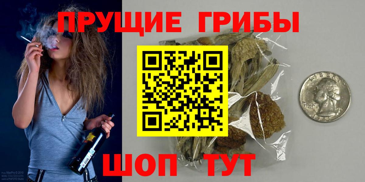 Псилоцибиновые грибы Psilocybe Сальск
